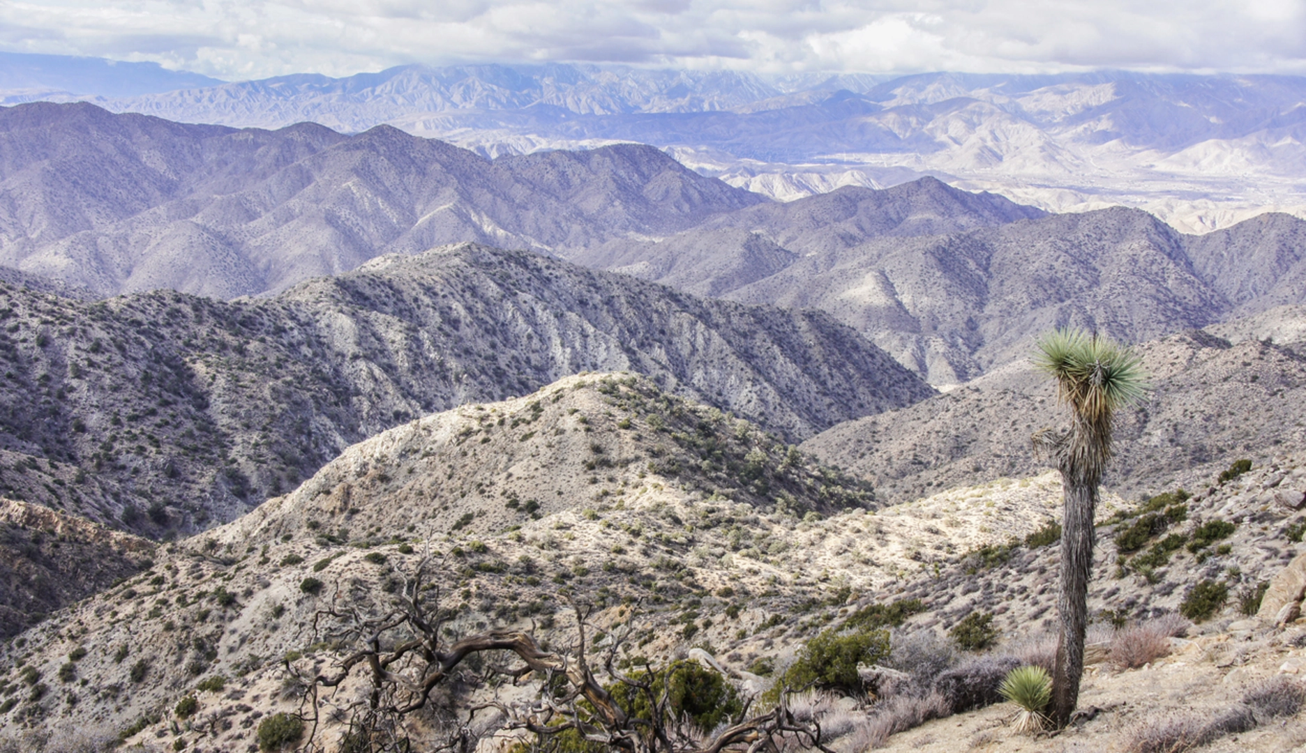 An image depicting the trail Cliff Trail via California Riding and Hiking Trail and its surrounding area.