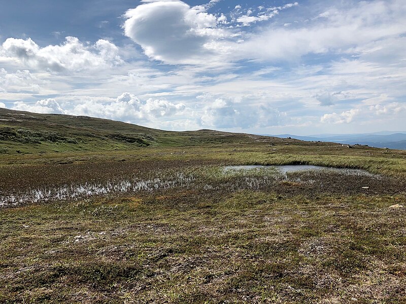 Lierne National Park, Lierne, Norway, Norway