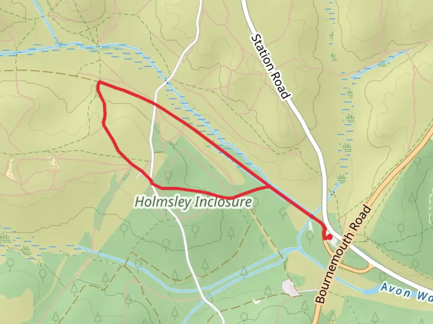 An image depicting the trail Holmsley Inclosure Loop and its surrounding area.