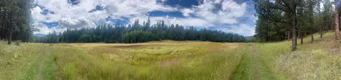 Elk, Lynx and Bear Loop