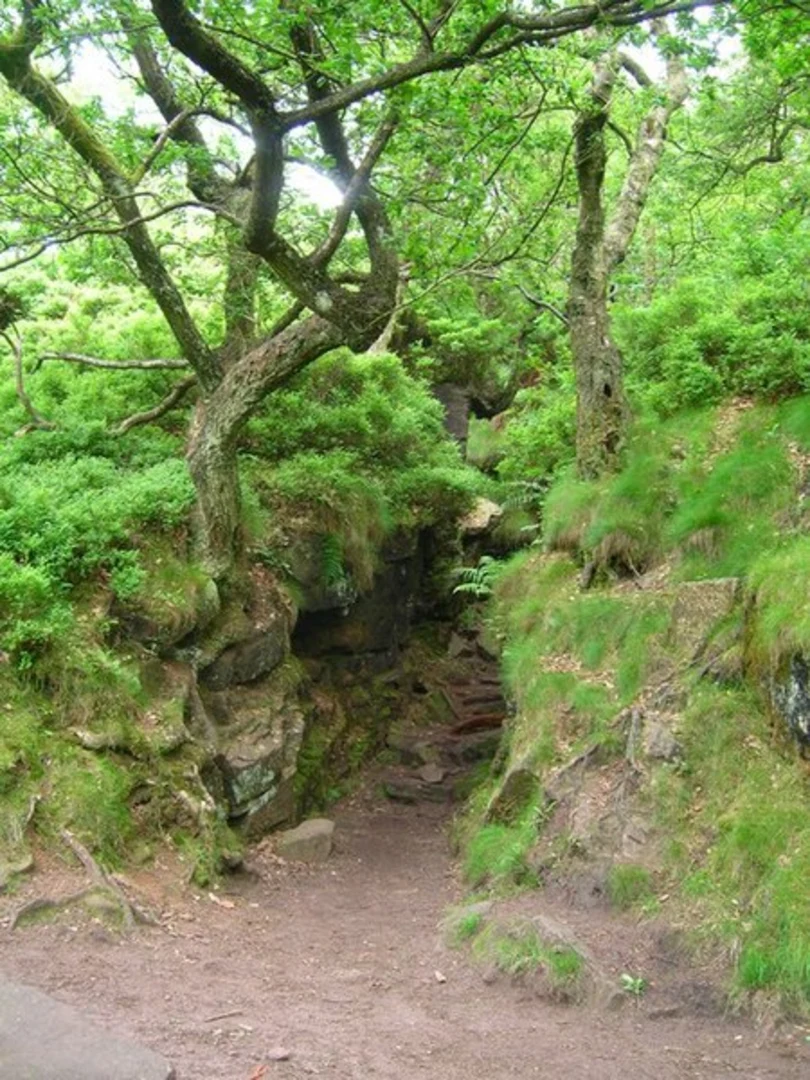 An image depicting the trail The Roaches and Lud's Church Loop and its surrounding area.