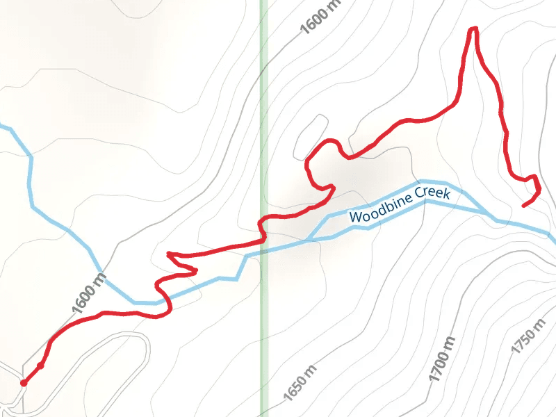 Woodbine Falls Trail