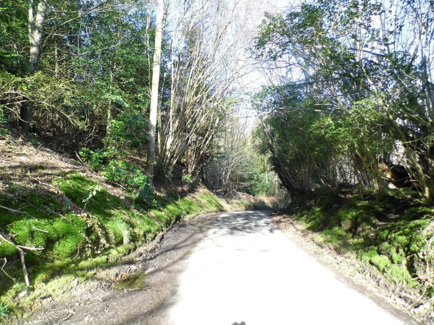 An image depicting the trail Holmbury Hill Loop and its surrounding area.