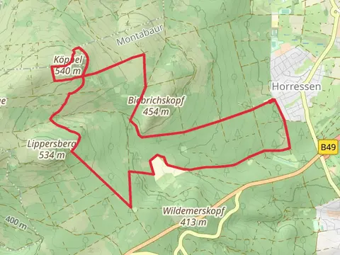 Koeppelweg 3