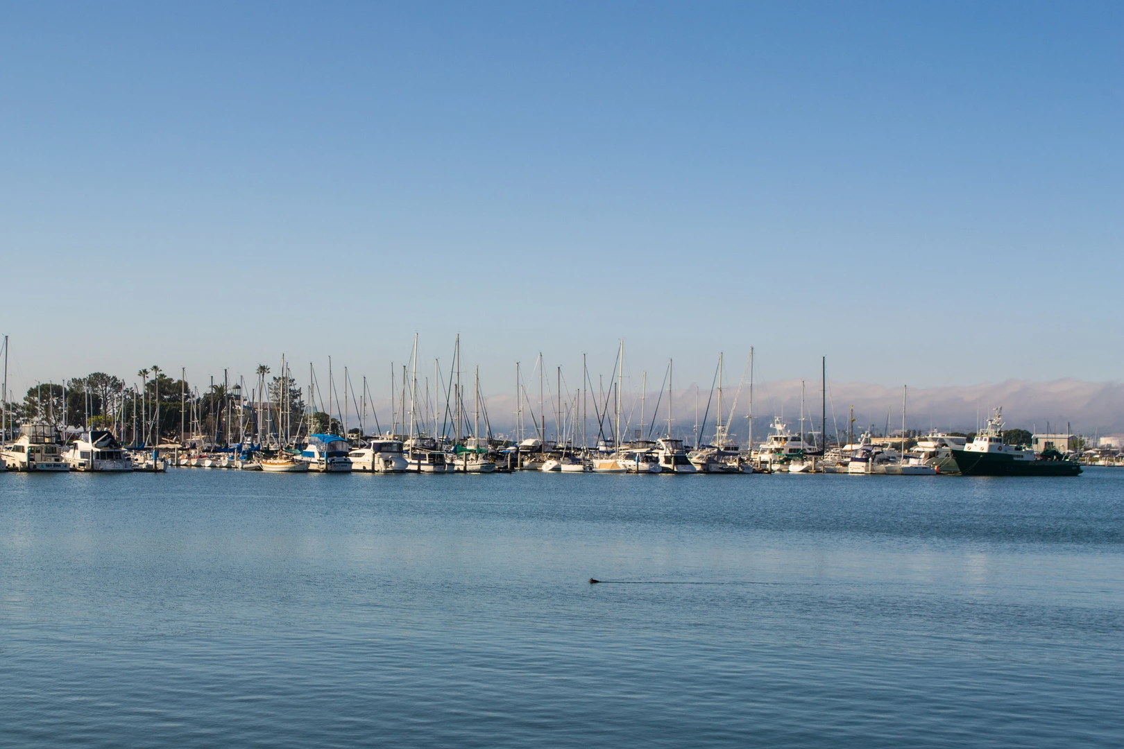 An image depicting the trail Harbor Island Park and its surrounding area.