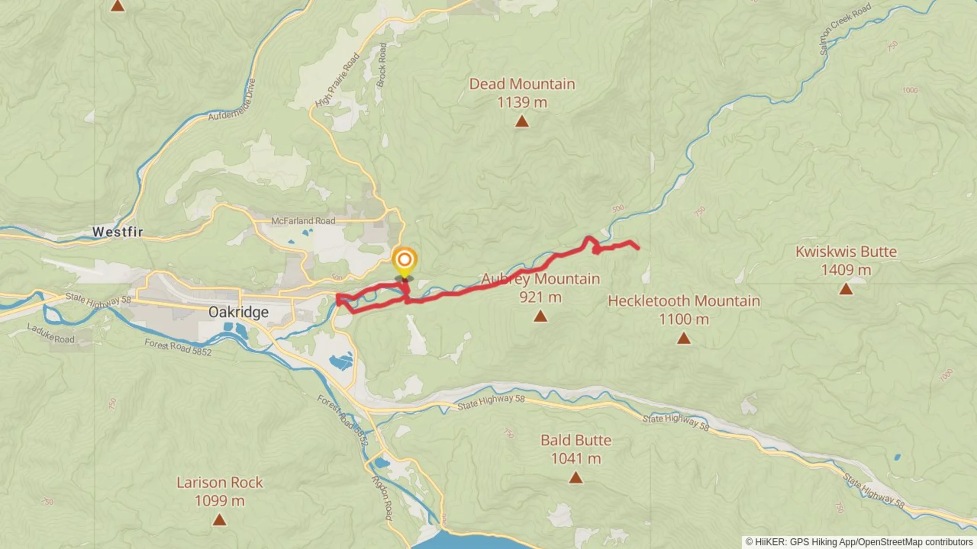 An image depicting the trail Salmon Creek Trail Out and Back and its surrounding area.