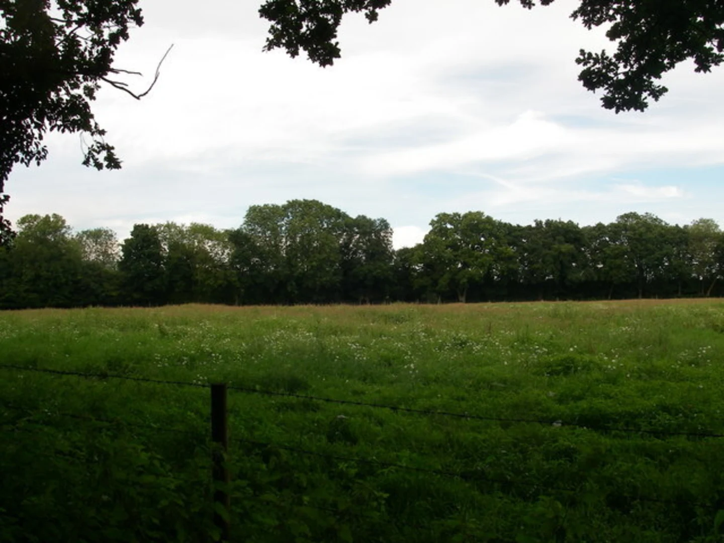 An image depicting the trail Frankenbury Hill Fort and its surrounding area.