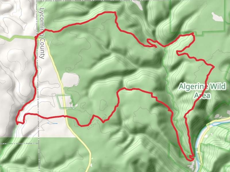 Black Forest Trail Loop