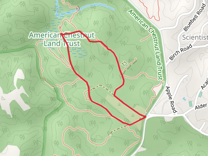 Gravatt Lane and Bloodroot Loop Trail