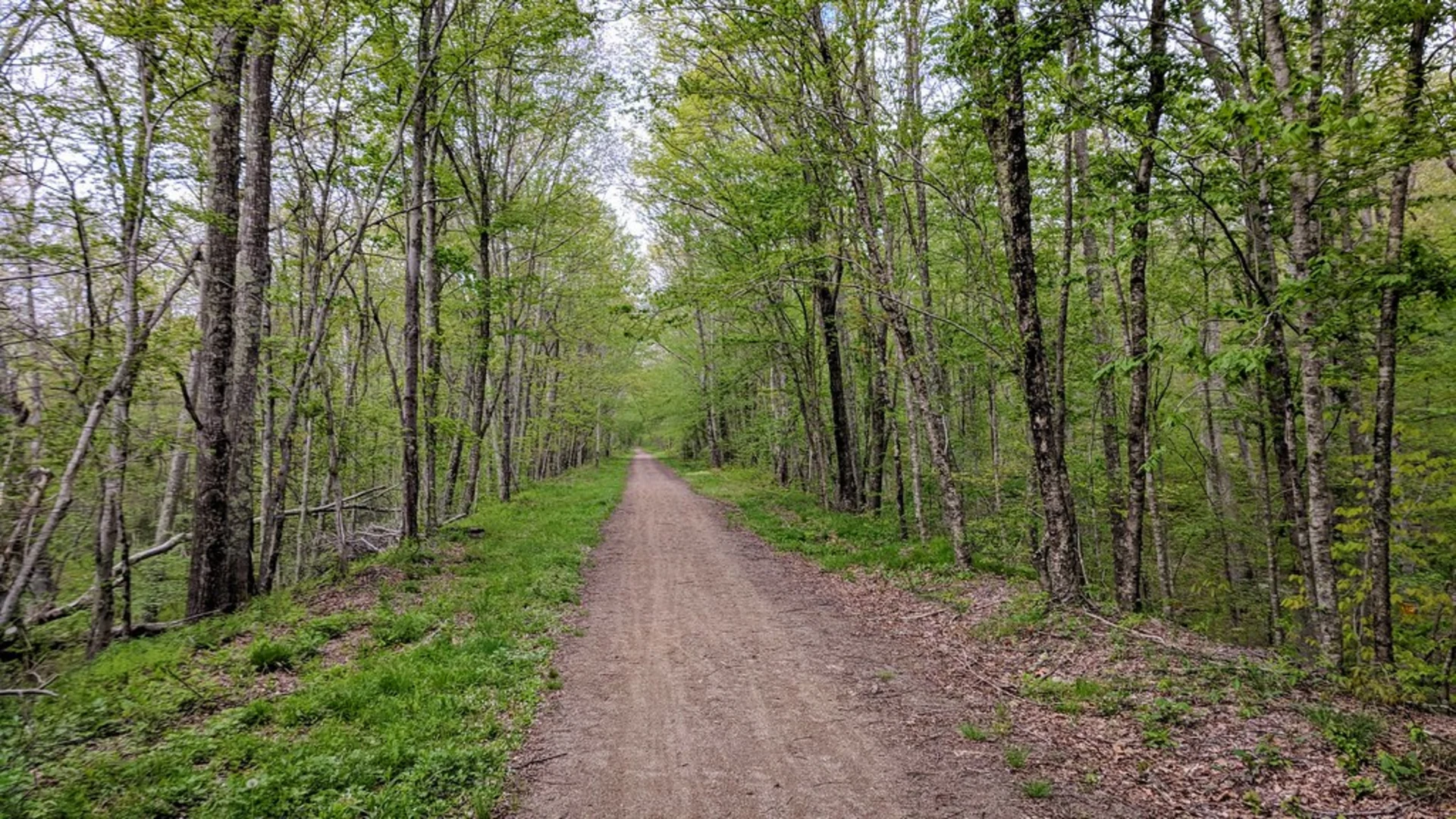 An image depicting the trail Air Line State Park Trail and its surrounding area.