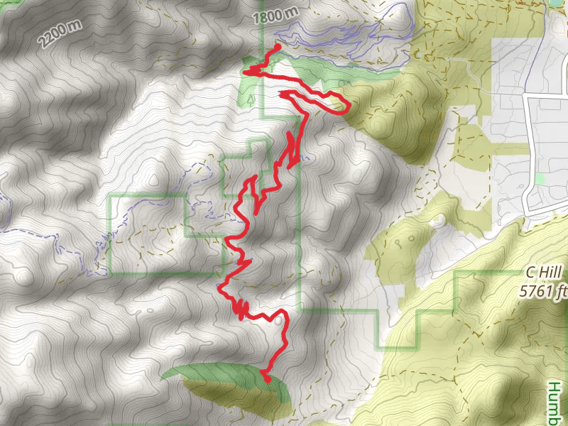 Ash Canyon to Kings Canyon Trail