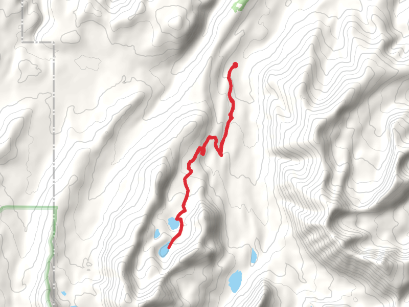 Fourmile Basin Lakes via CDT