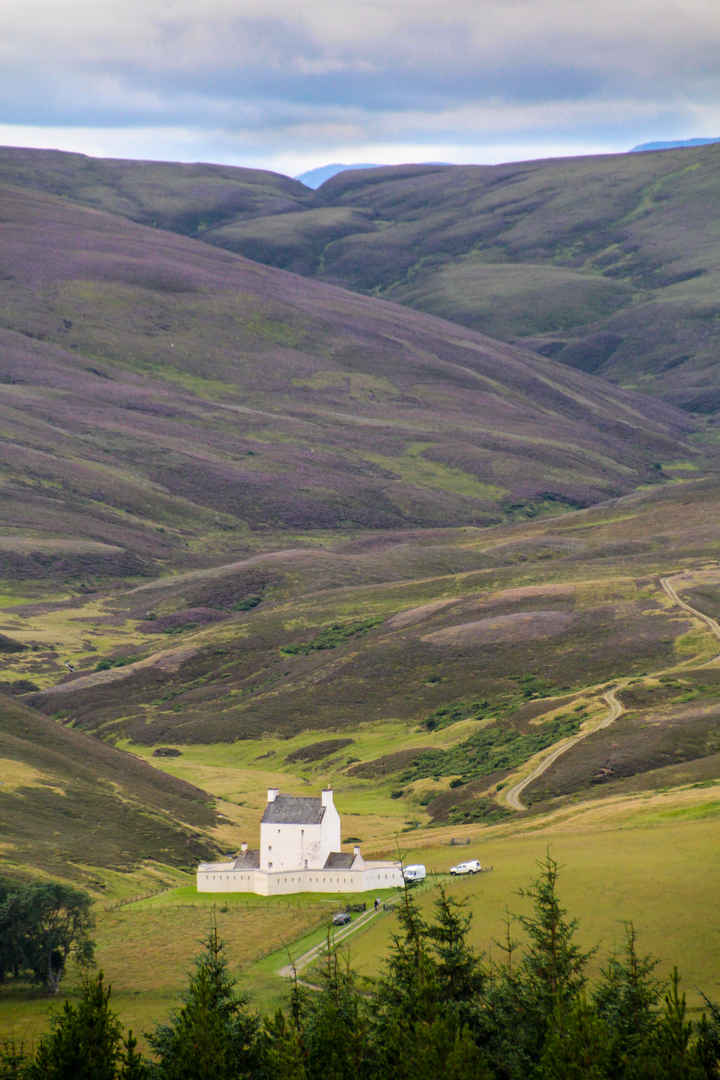 An image depicting the trail Cairn Culchavie, Little Geal Charn, Meikle Geal Charn and Brown Cow Hill Loop and its surrounding area.