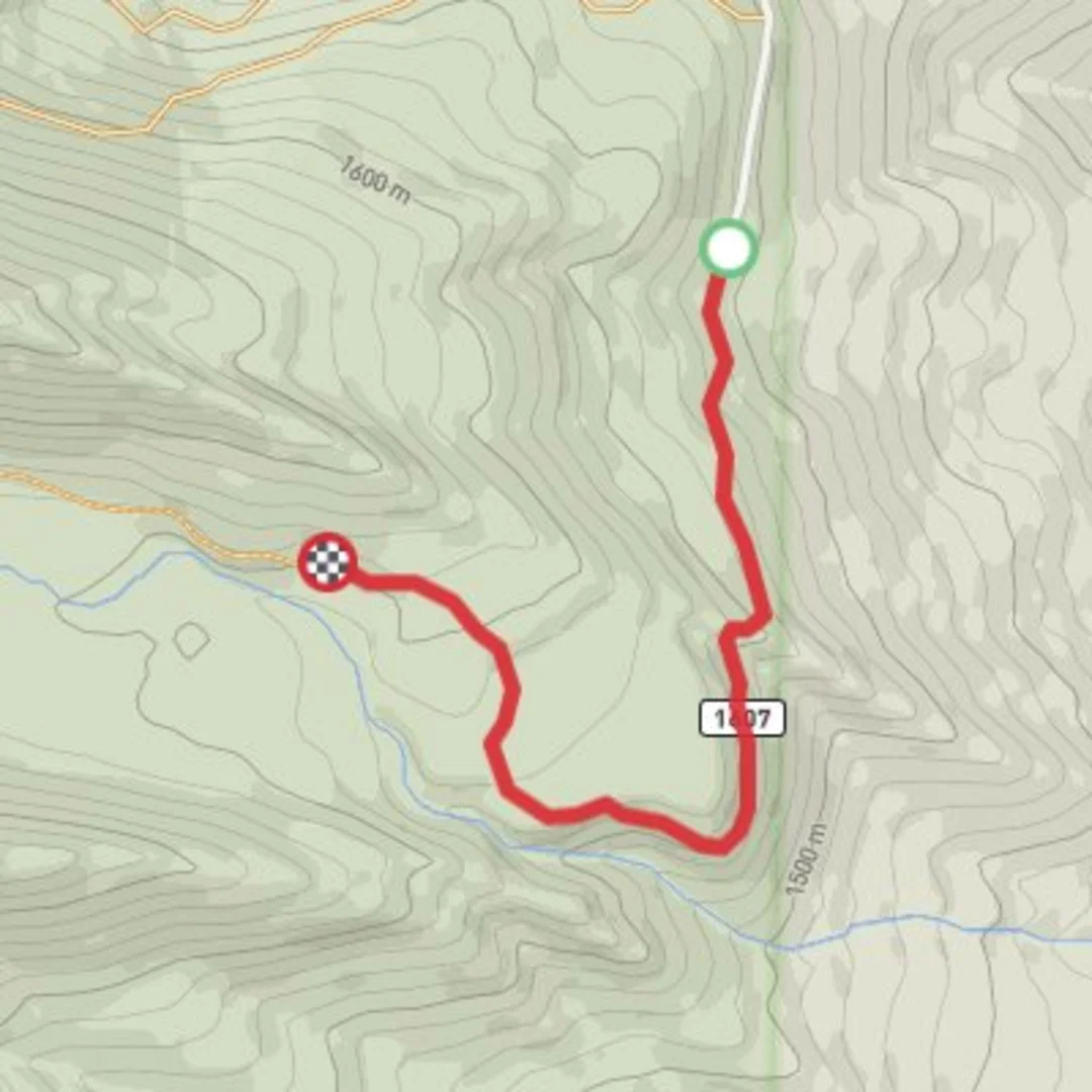 An image depicting the trail Dutch Flat creek picnic spot and its surrounding area.