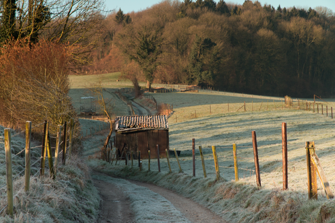 Kasteel Karsveld and Dolsberg Loop
