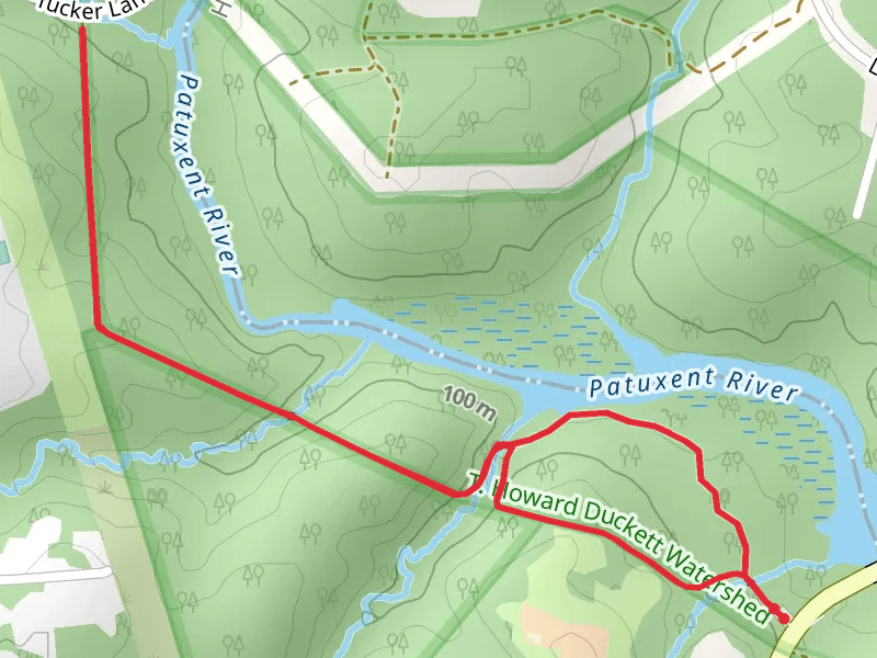 Walk beside Patuxent River - Ednor Road