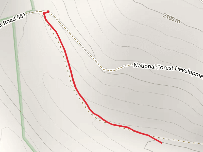 Lucky Dollar Trail