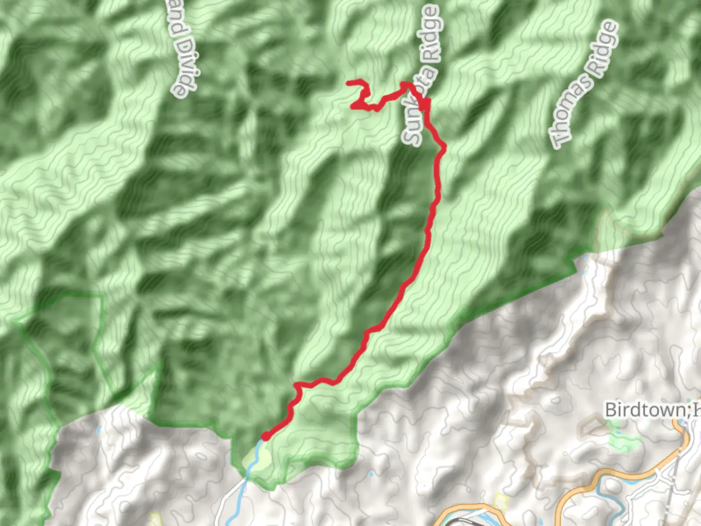 An image depicting the trail Indian Creek and Martins Gap Trail and its surrounding area.