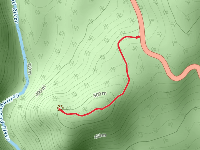 Donaghys Hill Walk