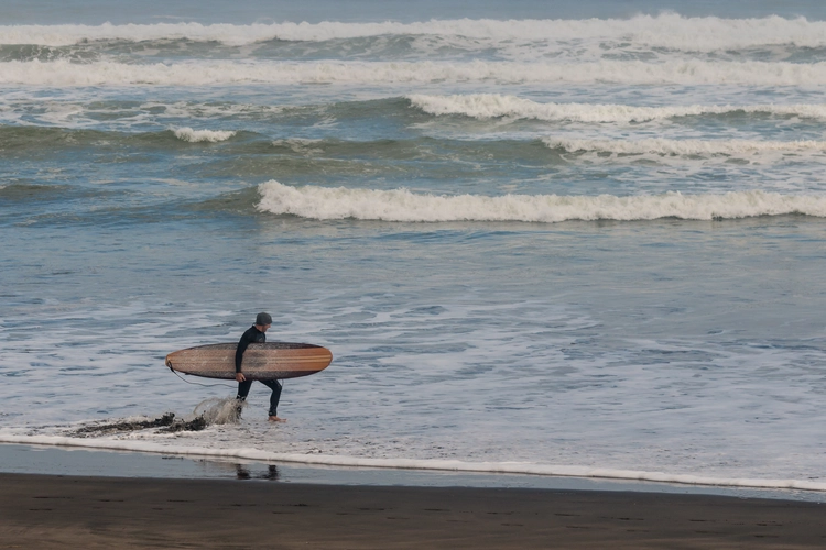 Muriwai Walk