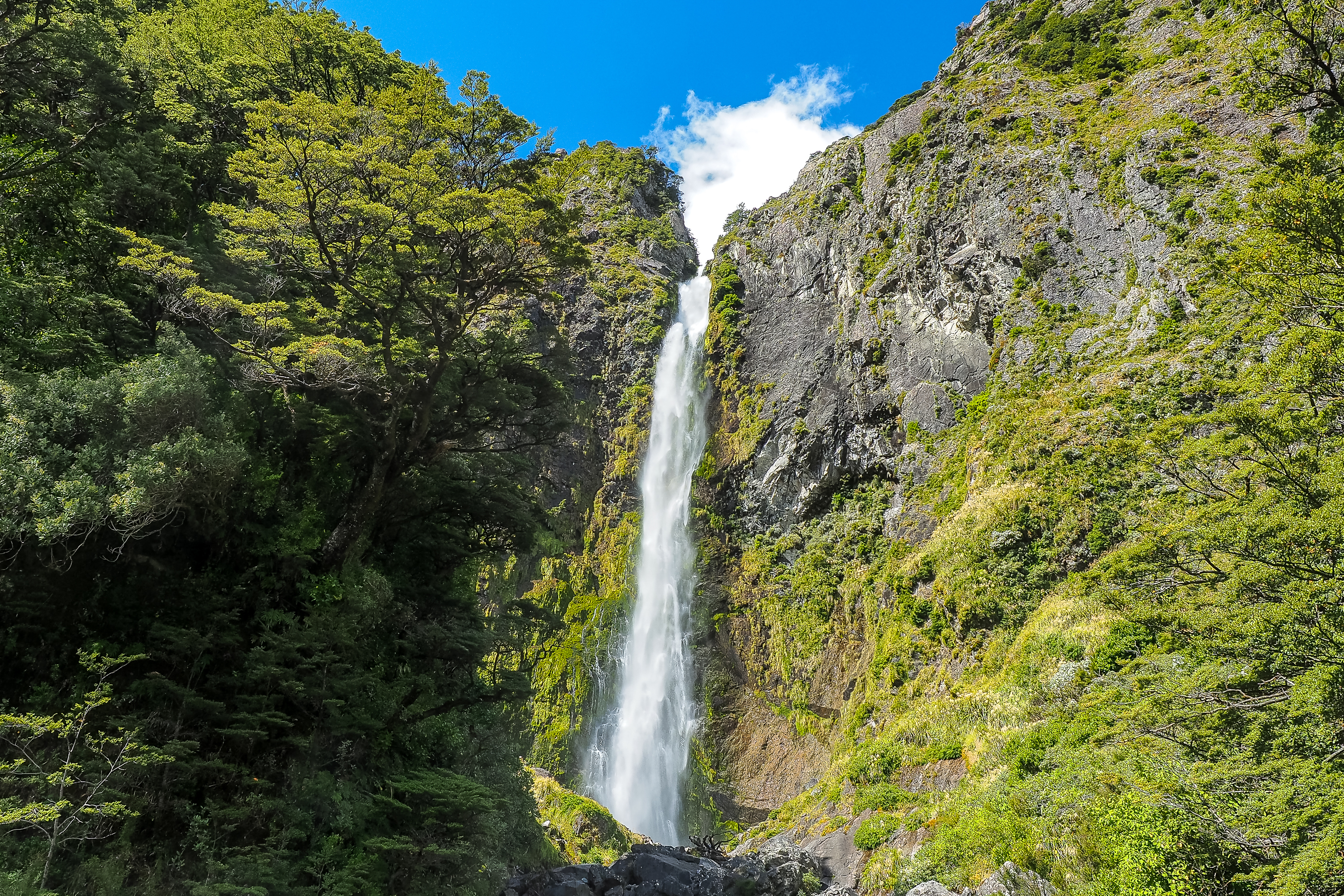 An image depicting the trail Arthur's Pass National Park and its surrounding area.