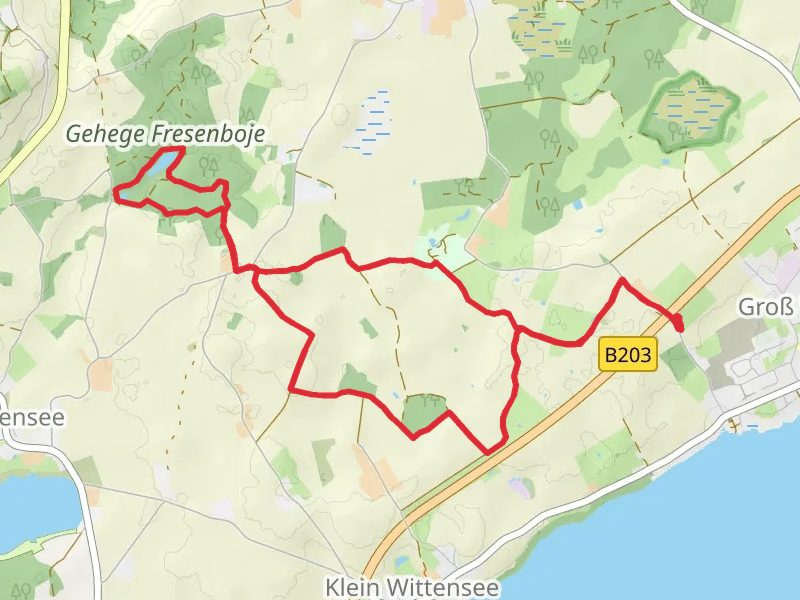 Fresensee Loop