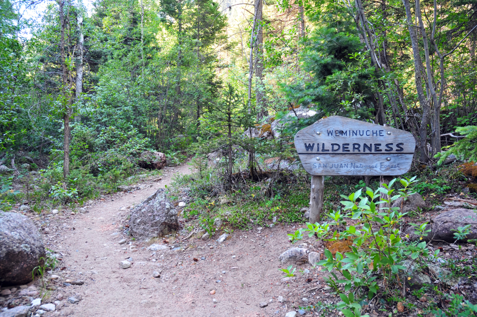 An image depicting the trail Turkey Creek Trail and its surrounding area.