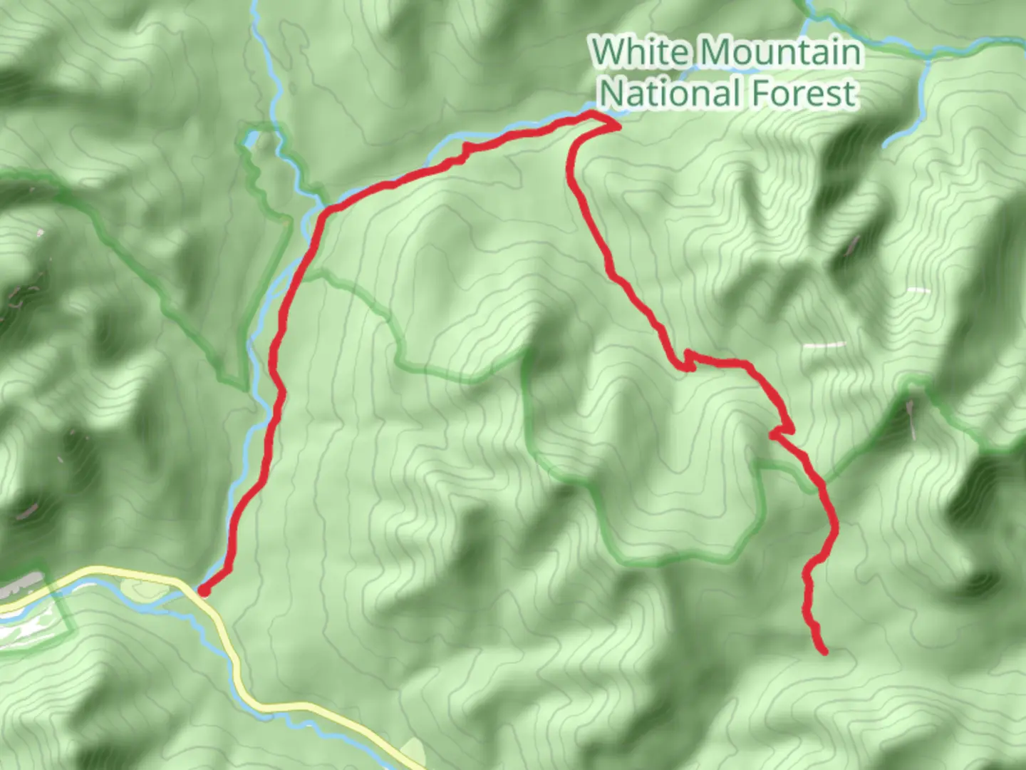 An image depicting the trail Pemi East Side and Cedar Brook Trail and its surrounding area.
