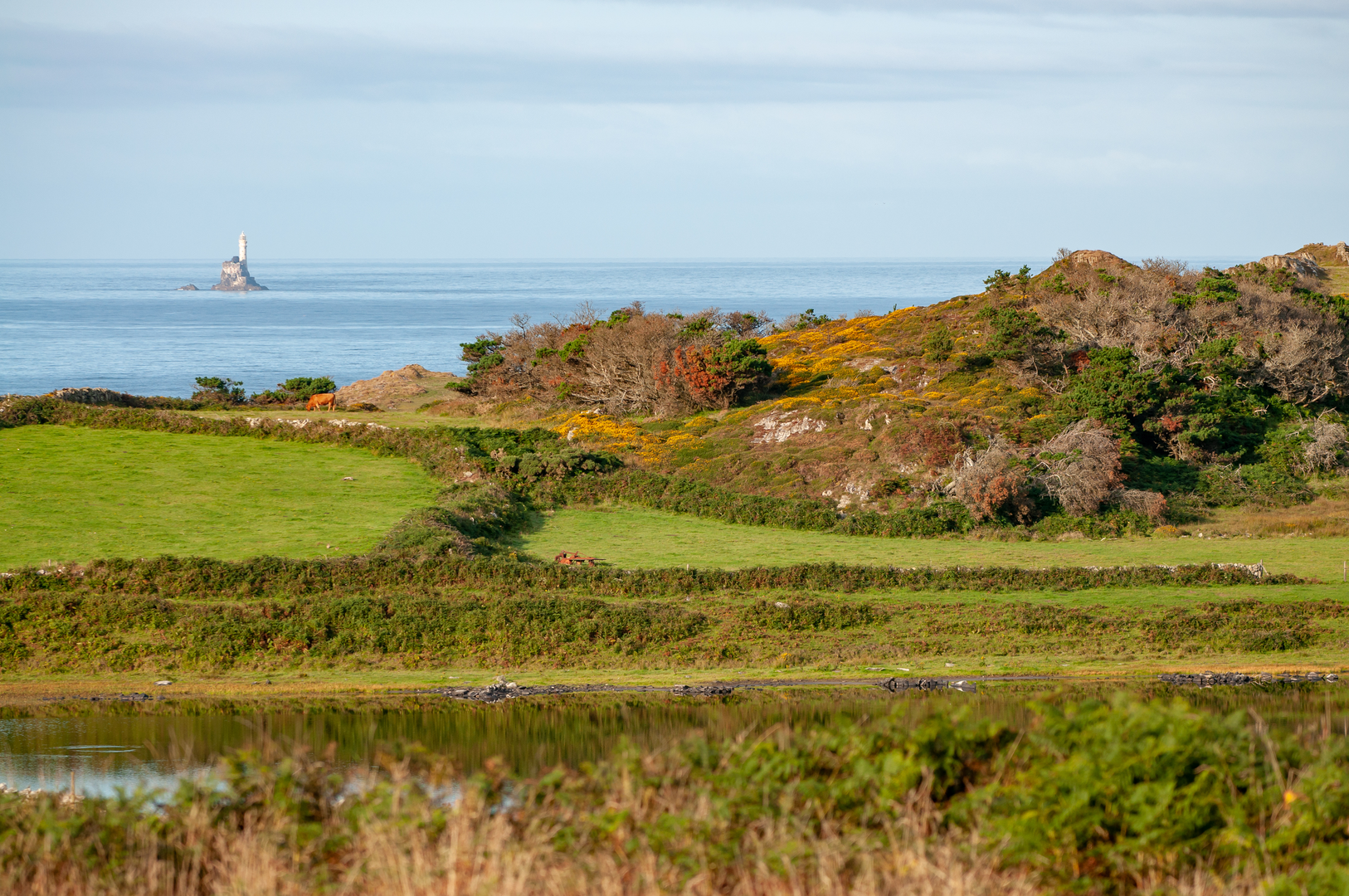 An image depicting the trail Cape Clear - Glen Loop and its surrounding area.