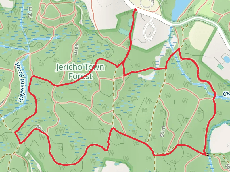 Cherry Brook and Hayward Brook Loop Trail