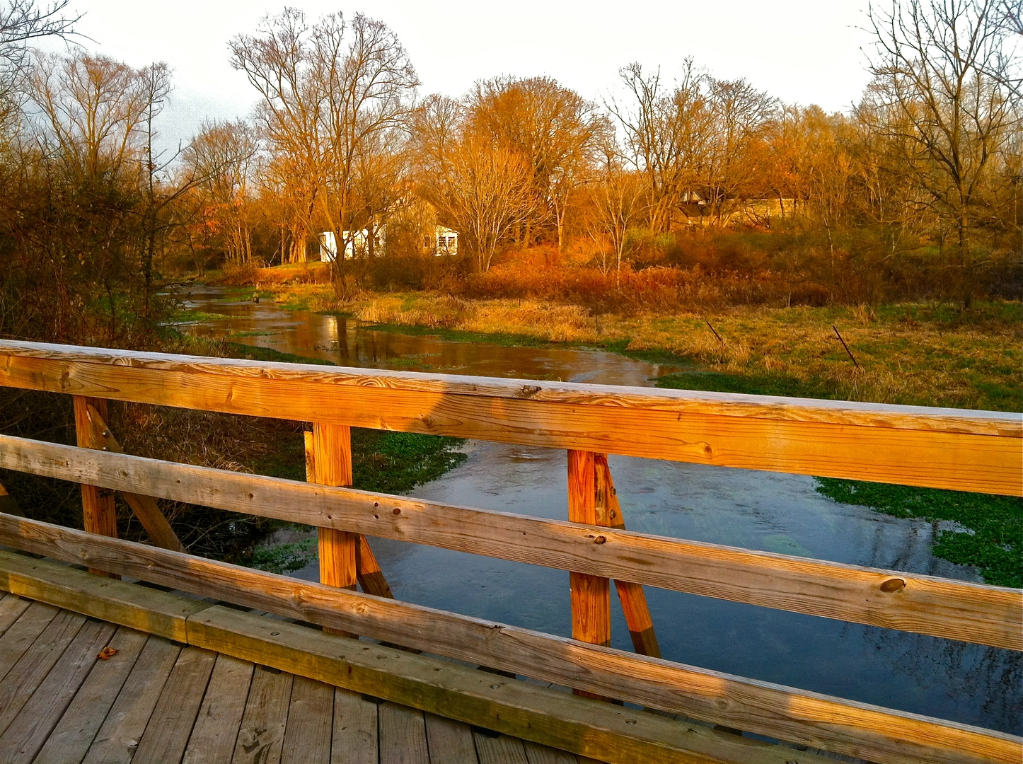 An image depicting the trail Letort Spring Run Trail and its surrounding area.