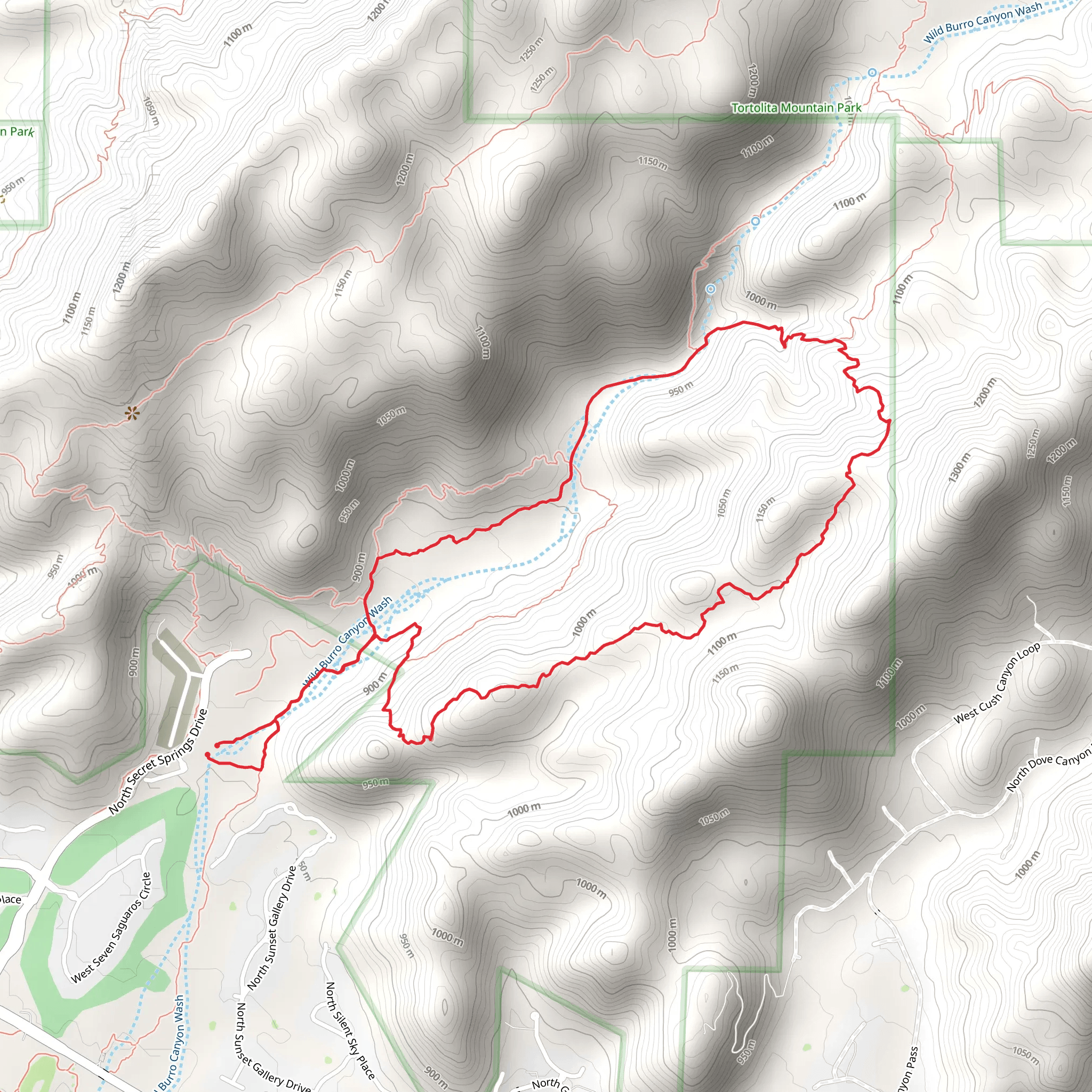 Wild Burro Loop Trail mobile static map