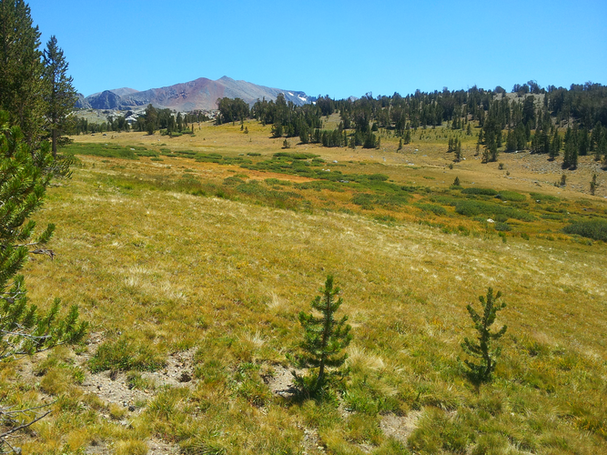 Vogelsang High Sierra Camp, Tuolumne Pass via Pacific Crest Trail