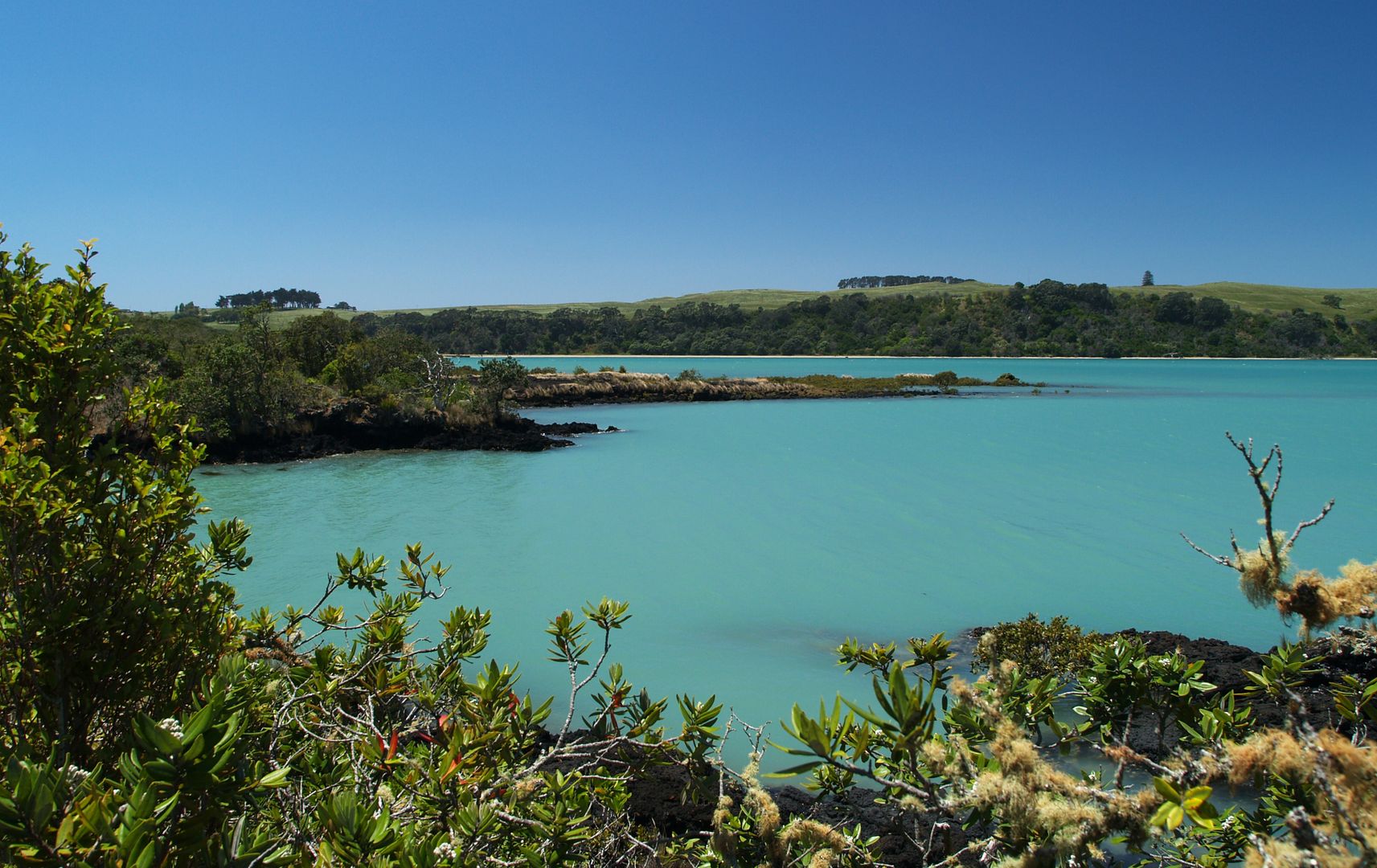 An image depicting the trail Islington Bay - Motutapu Outdoor Education Camp and its surrounding area.