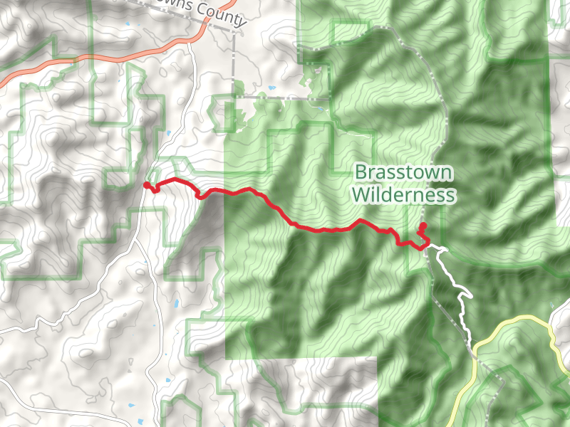 Brasstown Bald via Arkaquah Trail