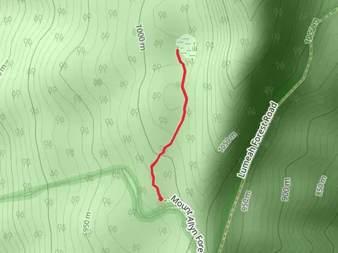 Burraga Swamp Track