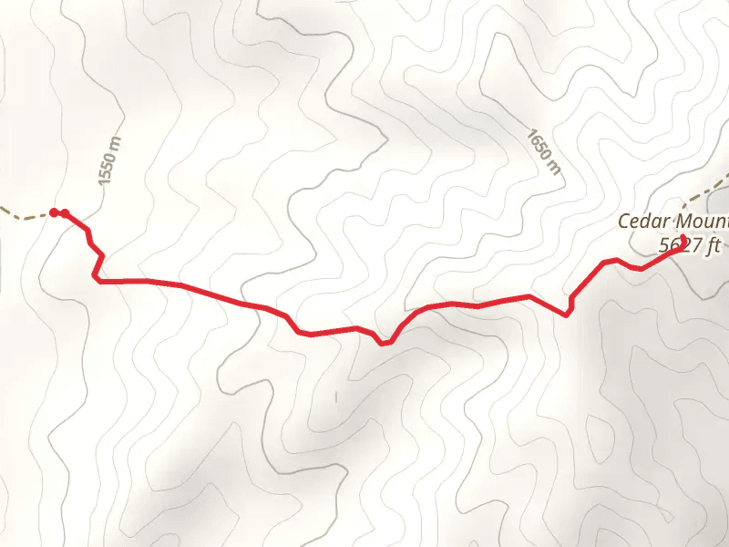 Cedar Mountain Out and Back