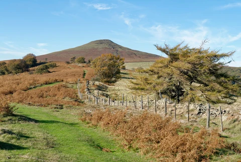 Mynydd Llanwenarth and Sugar Loaf Loop