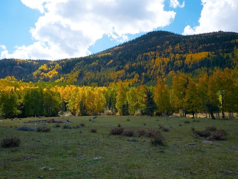 Duck Lake Trail