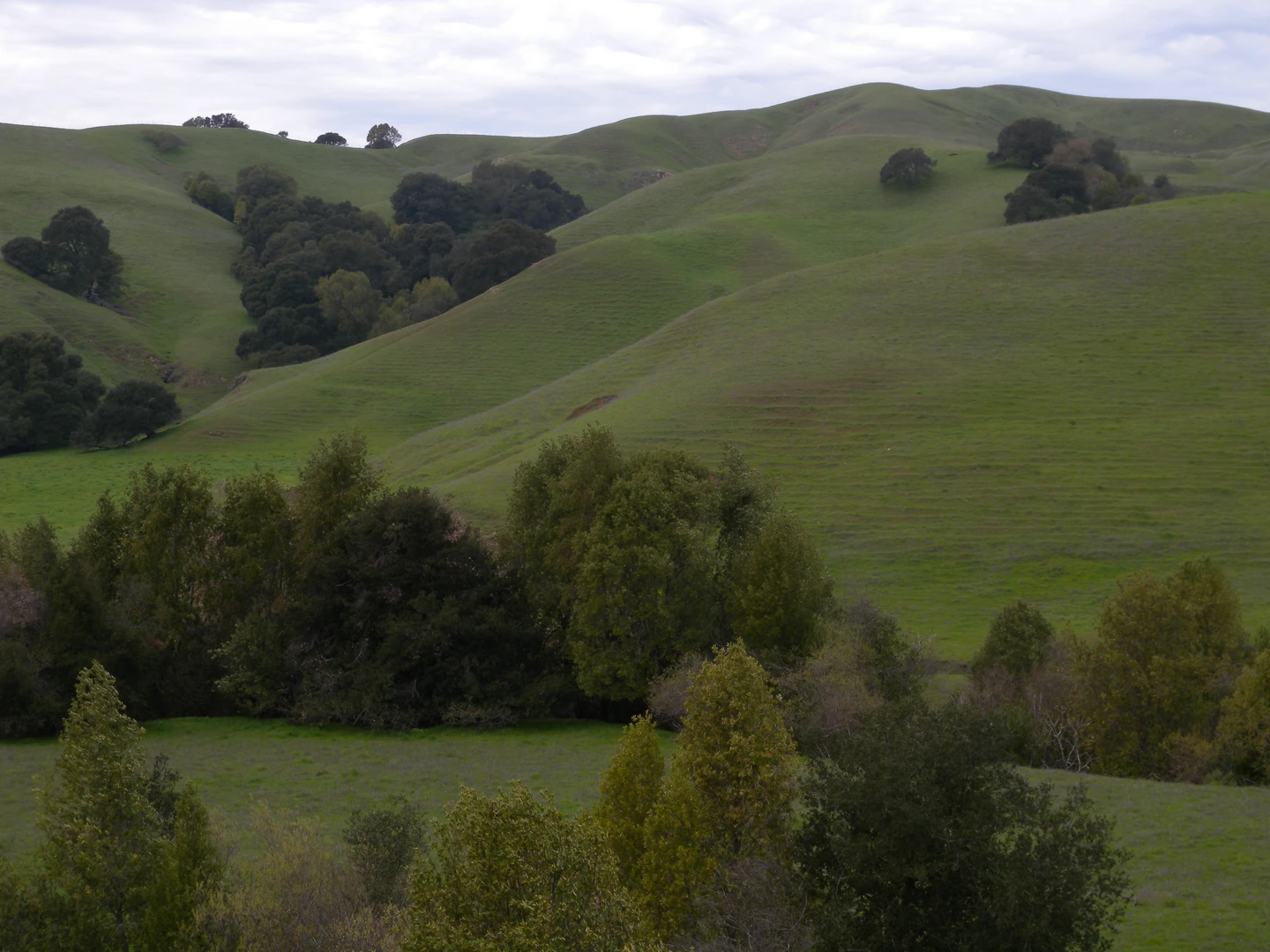 An image depicting the trail Briones Crest Trail via Alhambra Creek Trail and its surrounding area.