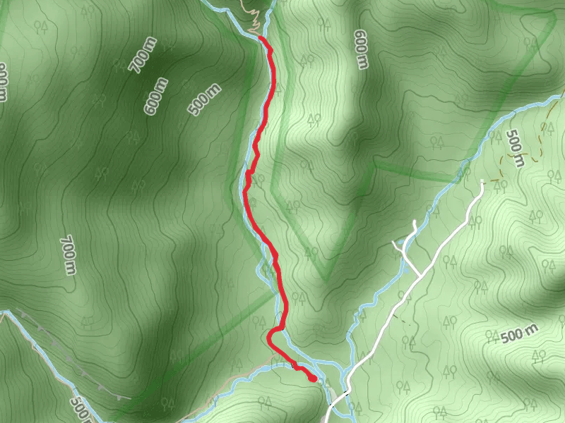 Robinson River via White Oak Canyon Trail