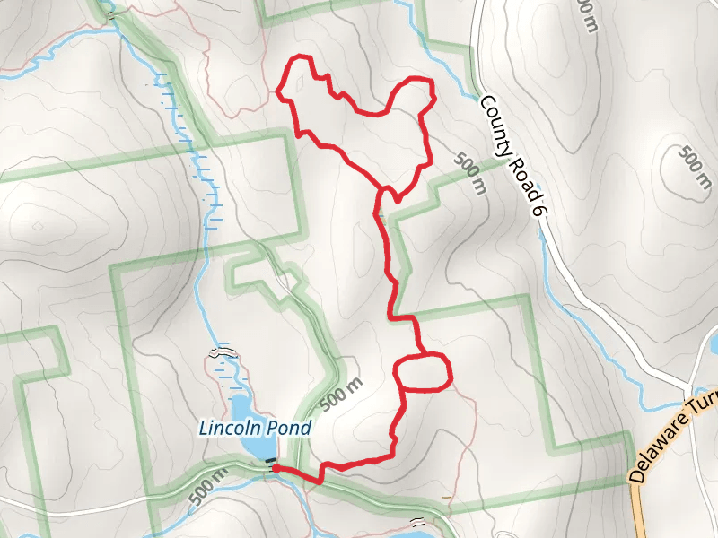 Partridge Path Loop One Trail