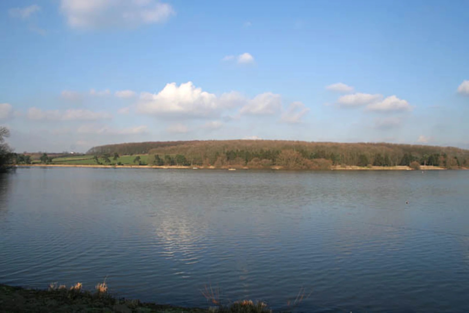 An image depicting the trail Markfiled Country Park and Thornton Reservoir Loop and its surrounding area.