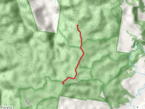 Turpentine Trail
