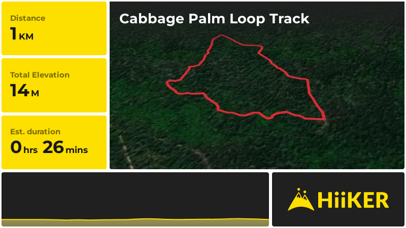 Cabbage Palm Loop Track | Mid-Coast | New South Wales