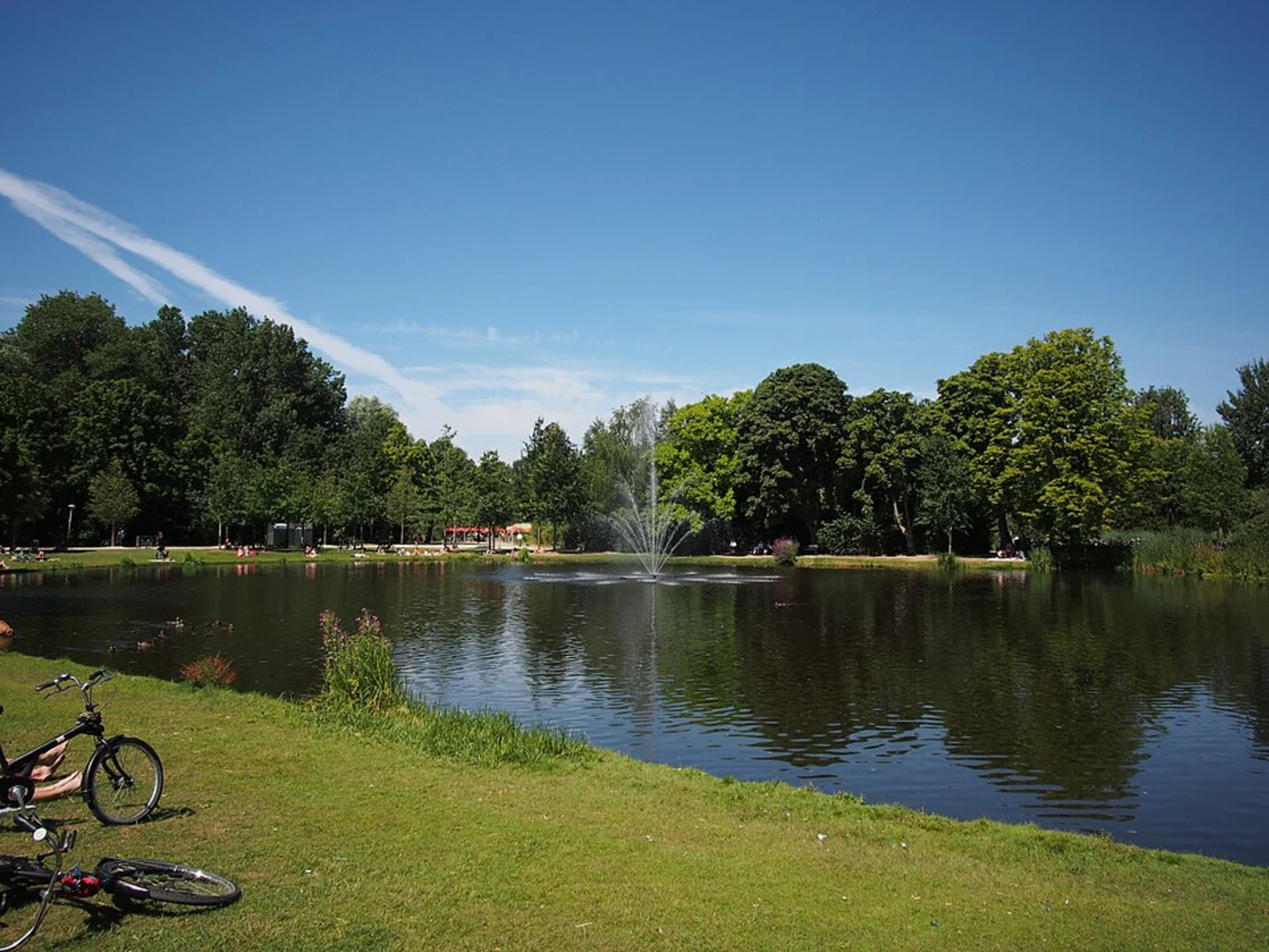 An image depicting the trail Grote Vijver, Spiegelvijver Zuid, Zypendaal and Belvedere Loop and its surrounding area.