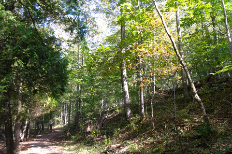 Lake Shore Trail