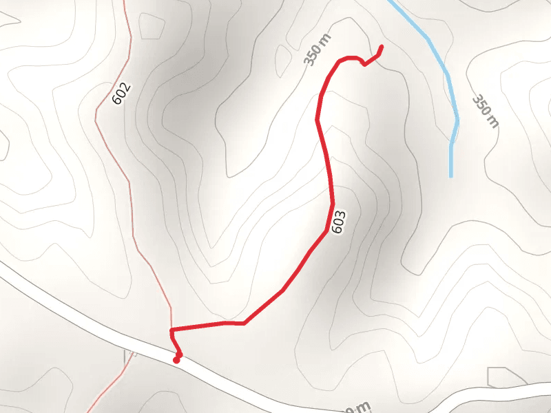 Yahoo Creek Walk