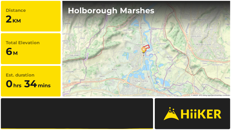 Holborough Marshes | Kent | England
