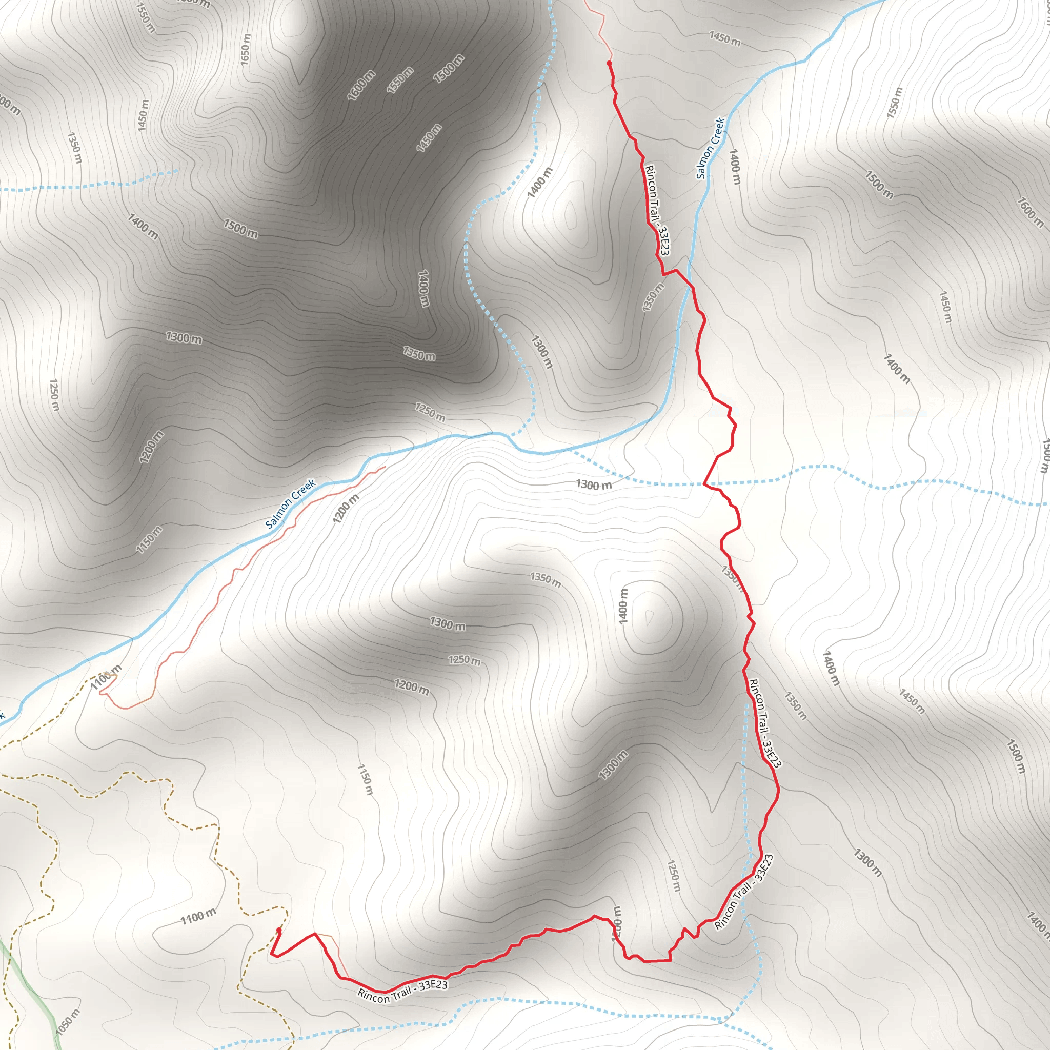 Rincon Trail - Short from Forest Route 24S89 mobile static map